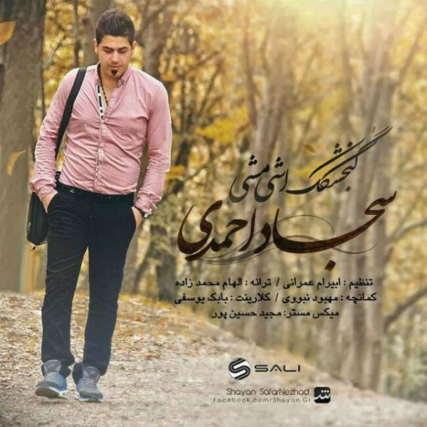 دانلود آهنگ جدید سجاد احمدی به نام گنجشکک اشی مشی دانلود آهنگ جدید سجاد احمدی به نام گنجشکک اشی مشی