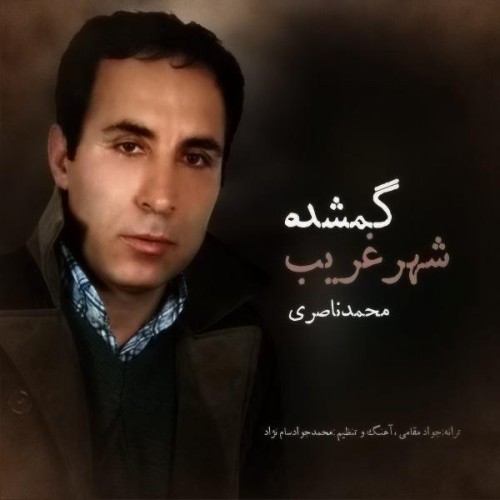 دانلود آهنگ جدید محمد ناصری به نام گمشده شهر غریب دانلود آهنگ جدید محمد ناصری به نام گمشده شهر غریب